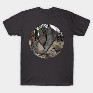 Giant Stone Heart T-Shirt